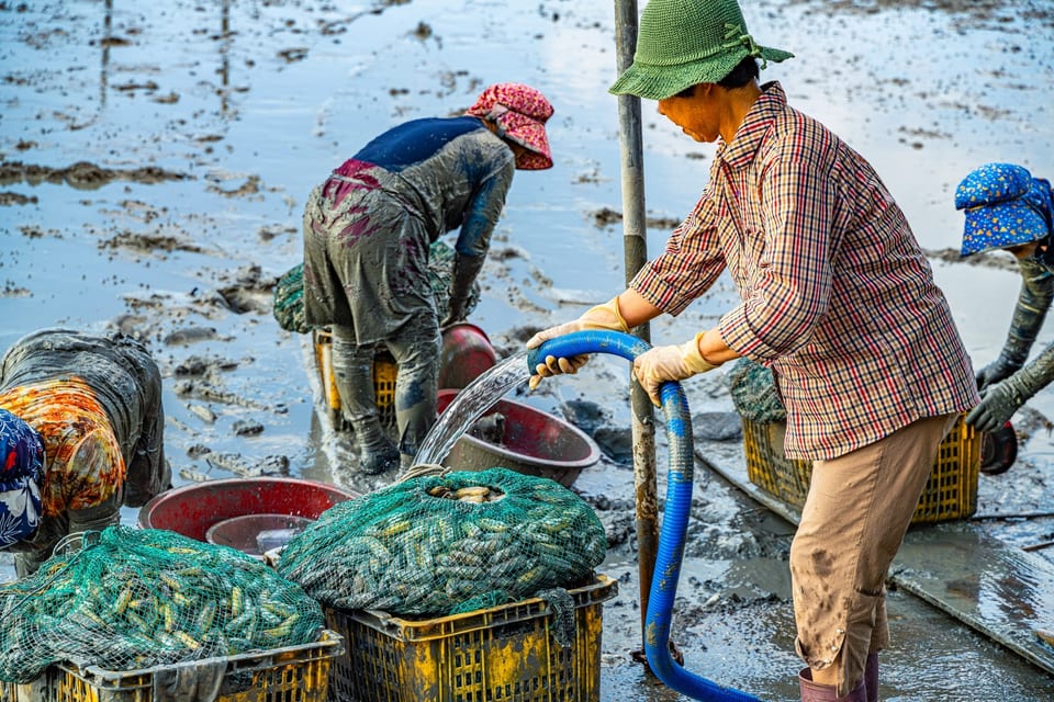 국가중요어업유산 사진 51