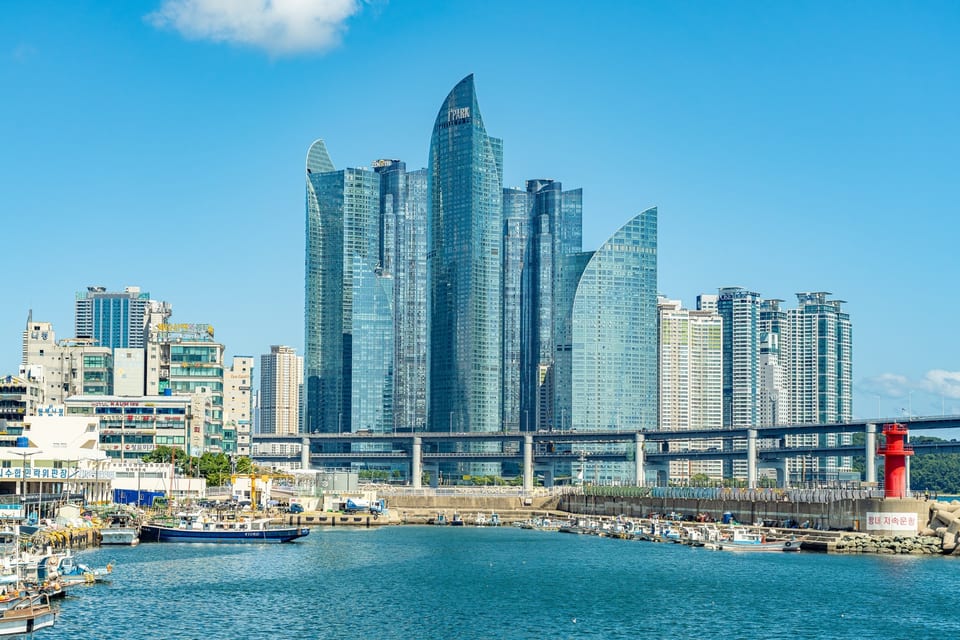 Millac the Market, Busan, KOREA 사진 22