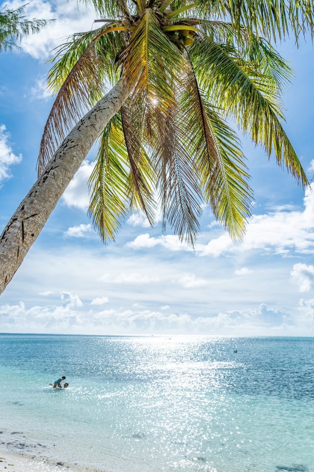 The World Resort, Saipan 사진 2