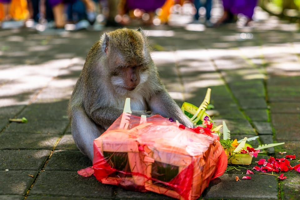 Bali, INDONESIA 사진 18