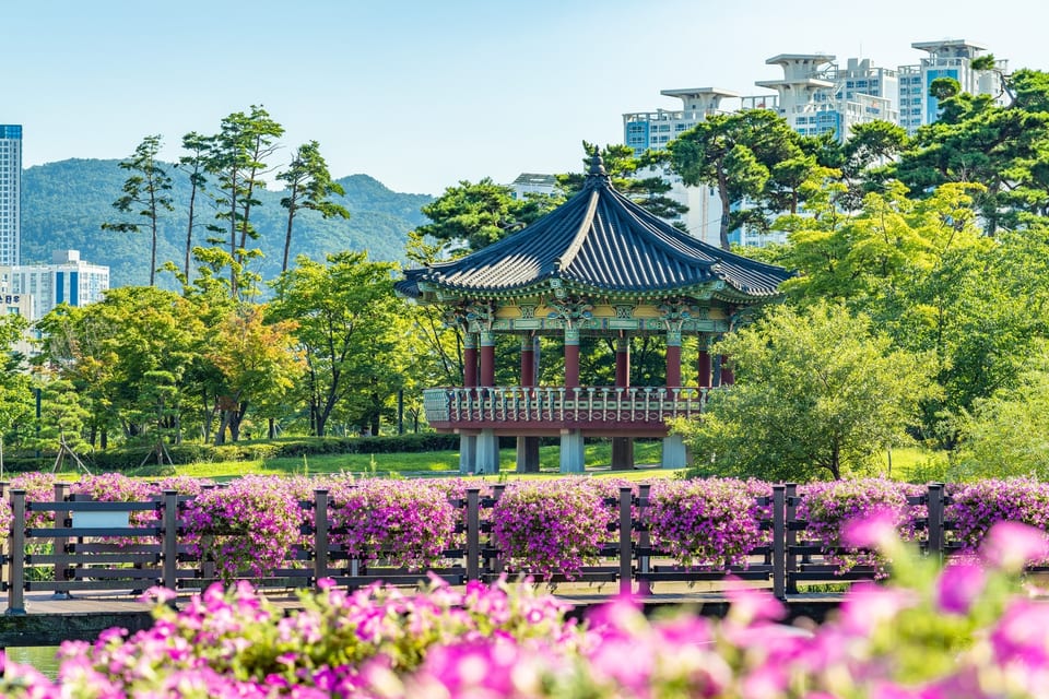 부산관광공사 — 부산 관광지 사진·영상 아카이브 사진 3