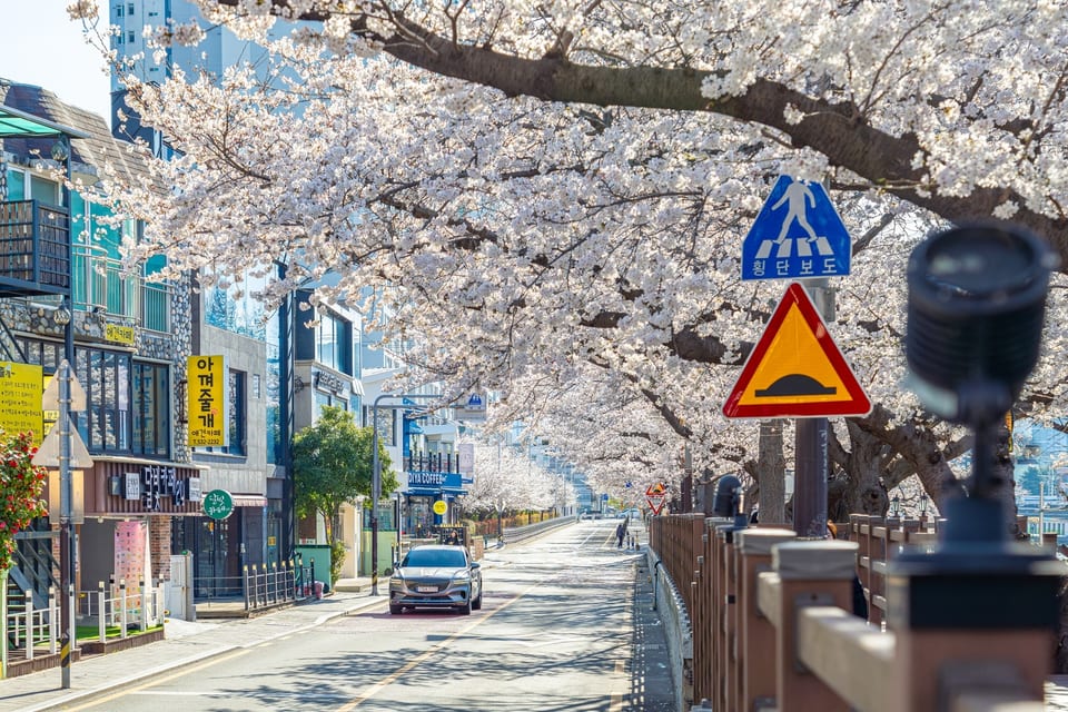 Busan, KOREA 사진 13