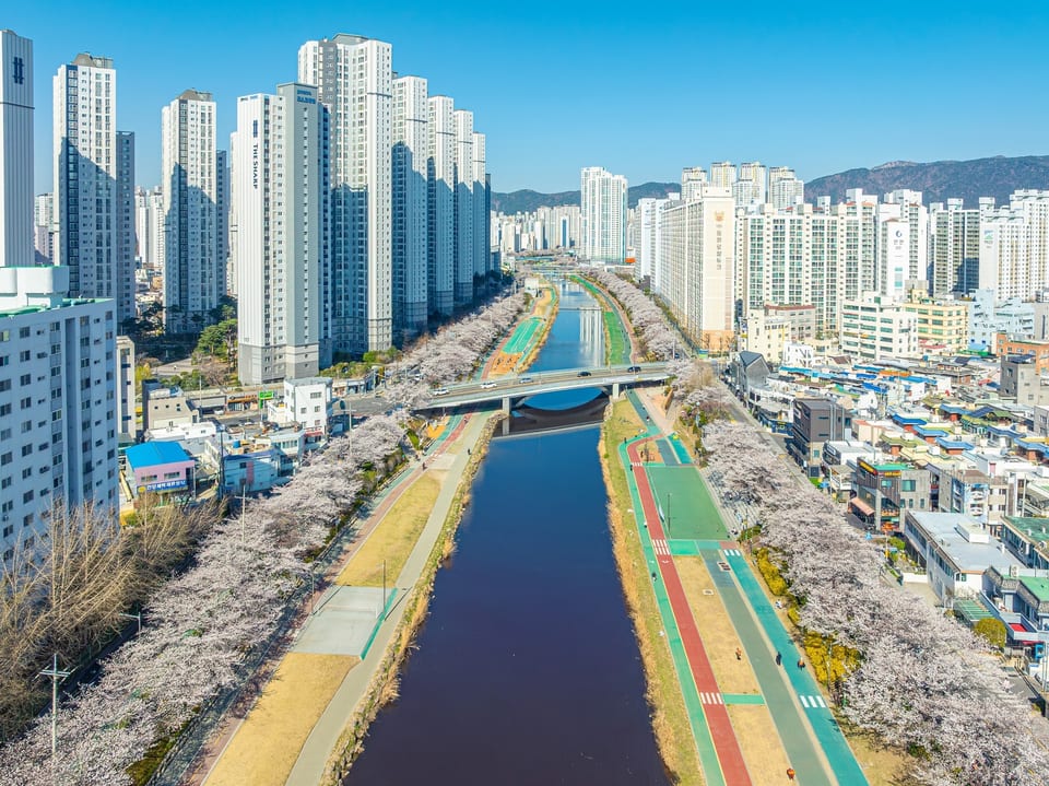 Busan, KOREA 사진 14