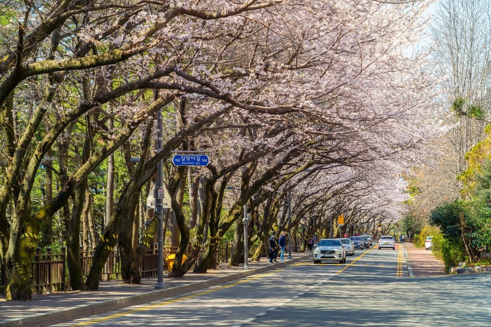 Busan, KOREA 사진 15