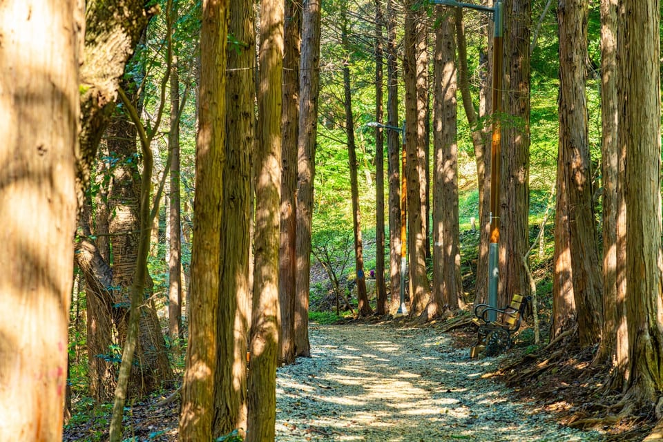 부산관광공사 부산 관광지 사진·영상 아카이브 사진 7