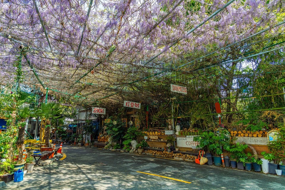 Busan, KOREA 사진 43