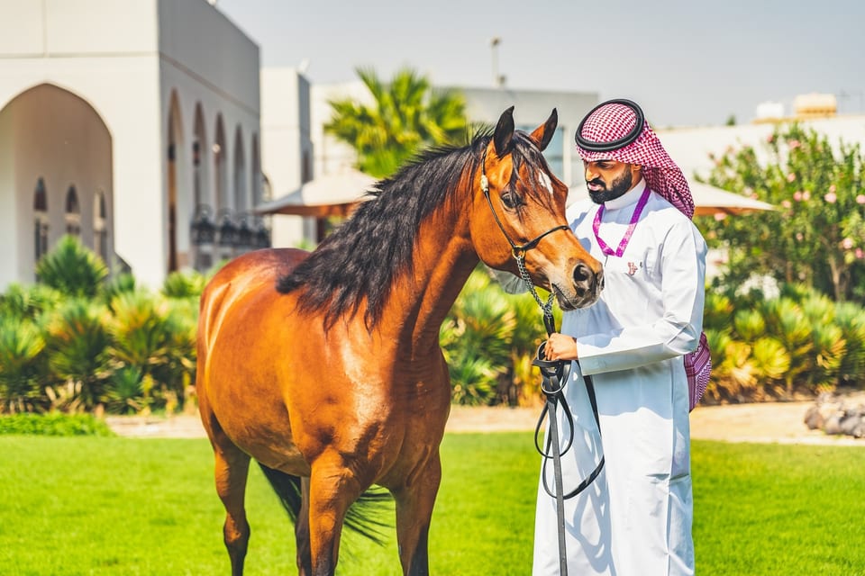 Dammam, SAUDI ARABIA 사진 26