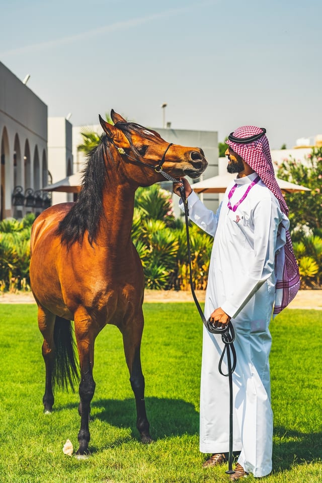 Dammam, SAUDI ARABIA 사진 27