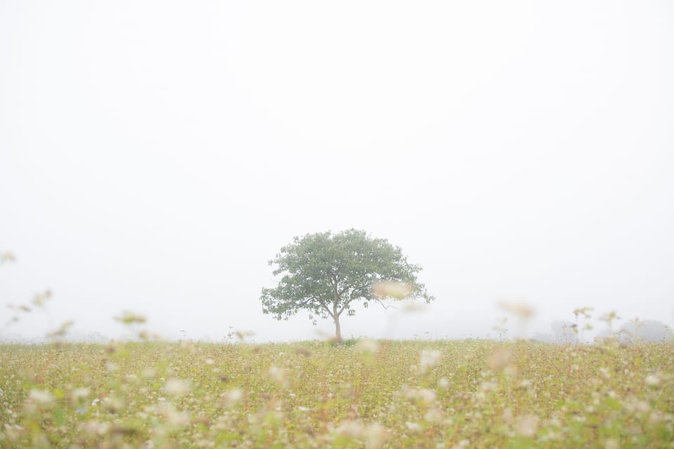 Gyeongju, KOREA — Gyeongju, Korea | 2015