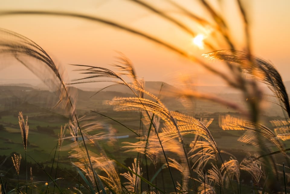 Jeju, KOREA 대표 사진