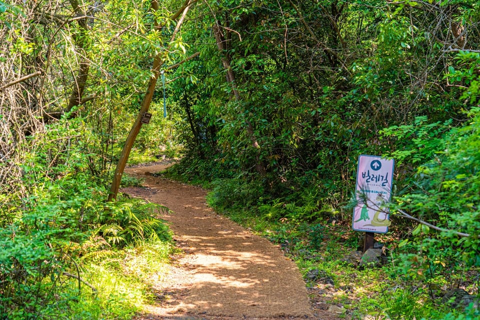 Jeju, KOREA — 제주곶자왈도립공원(Jeju Gotjawal Provincial Park) | Seogwipo, Jeju | 2026
