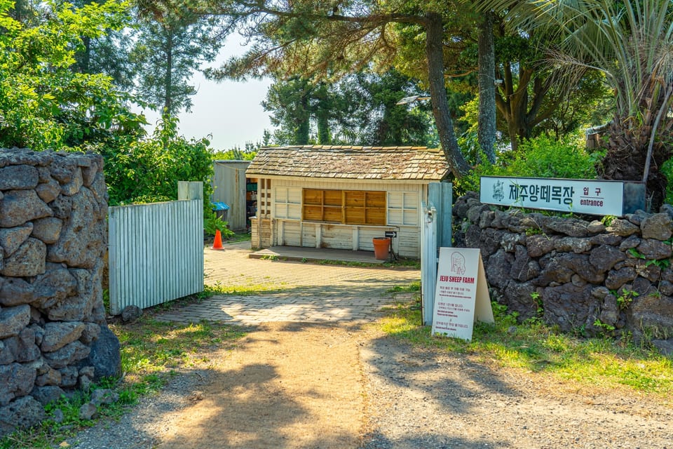 Jeju, KOREA — 제주양떼목장(Jeju Sheep Ranch) | Jeju | 2026