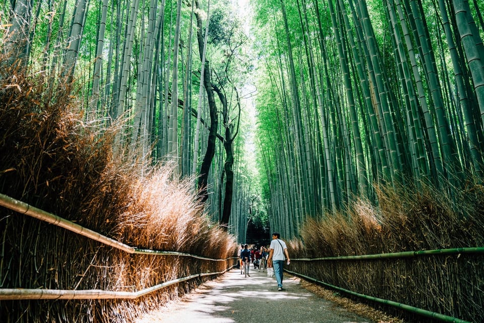 Kyoto, JAPAN 사진 8
