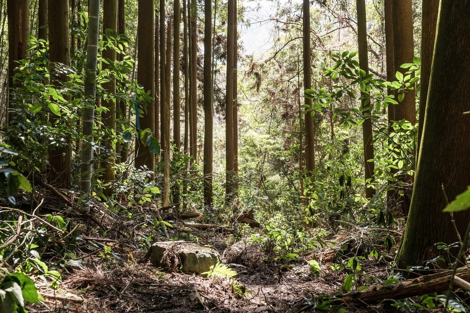 Kyushu Olle, JAPAN 사진 27