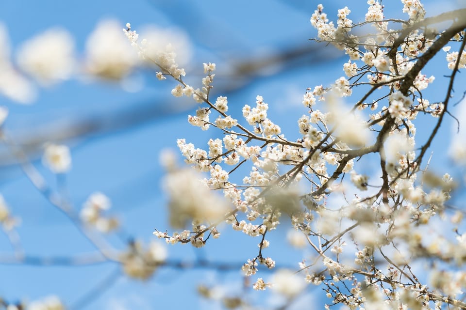 Kyushu Olle, JAPAN 사진 29