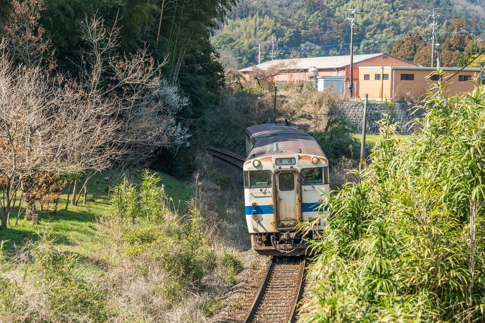 Kyushu Olle, JAPAN 사진 31