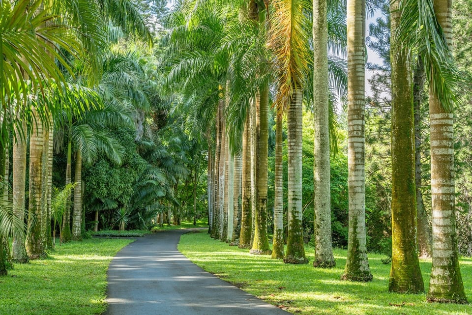 MAURITIUS 사진 3