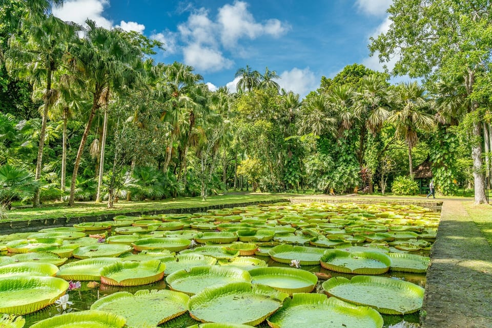 MAURITIUS 사진 4