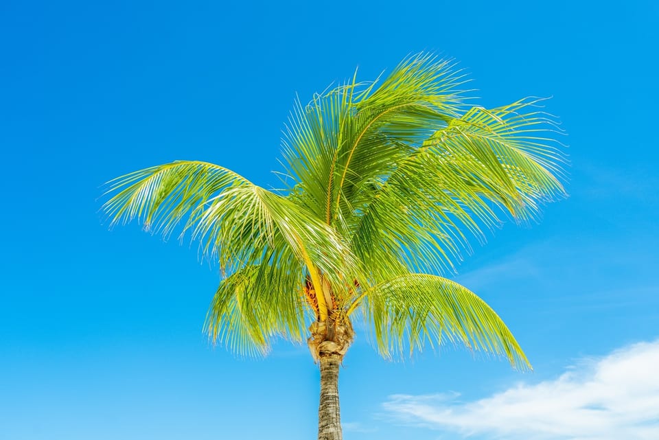MAURITIUS 사진 26