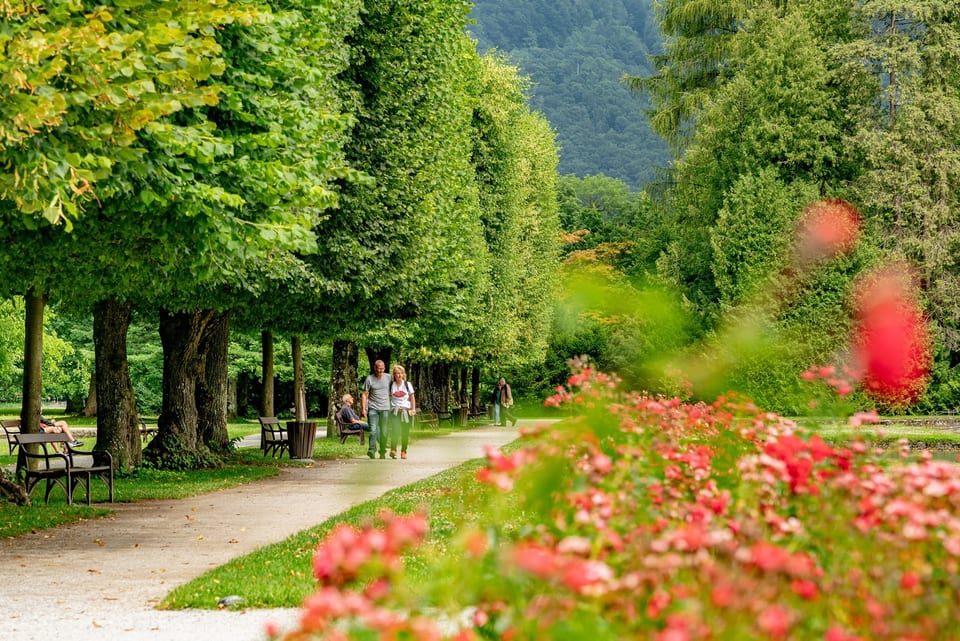 Salzburgerland, AUSTRIA 사진 18