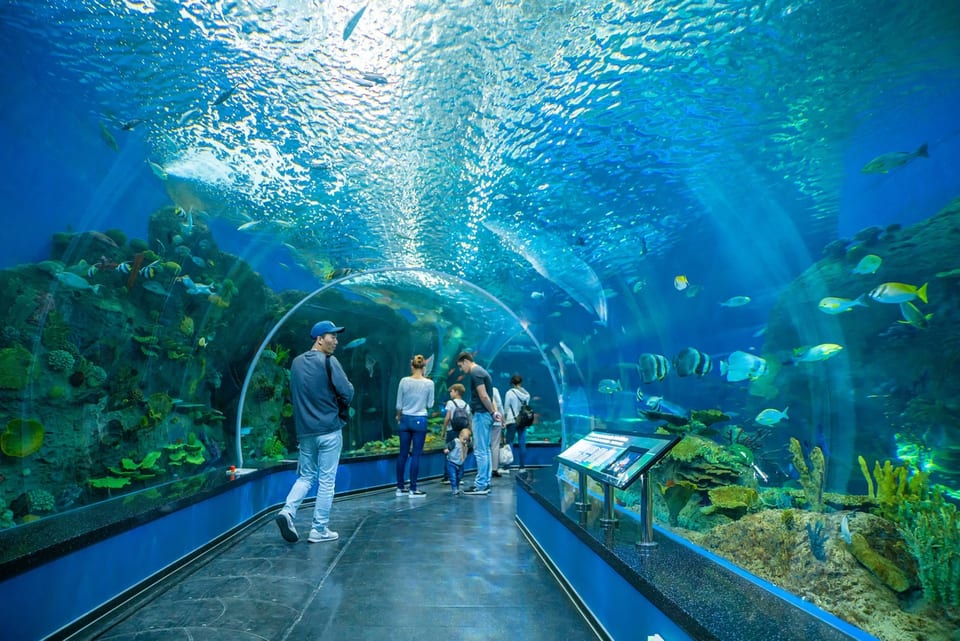 Vladivostok, RUSSIA 사진 32