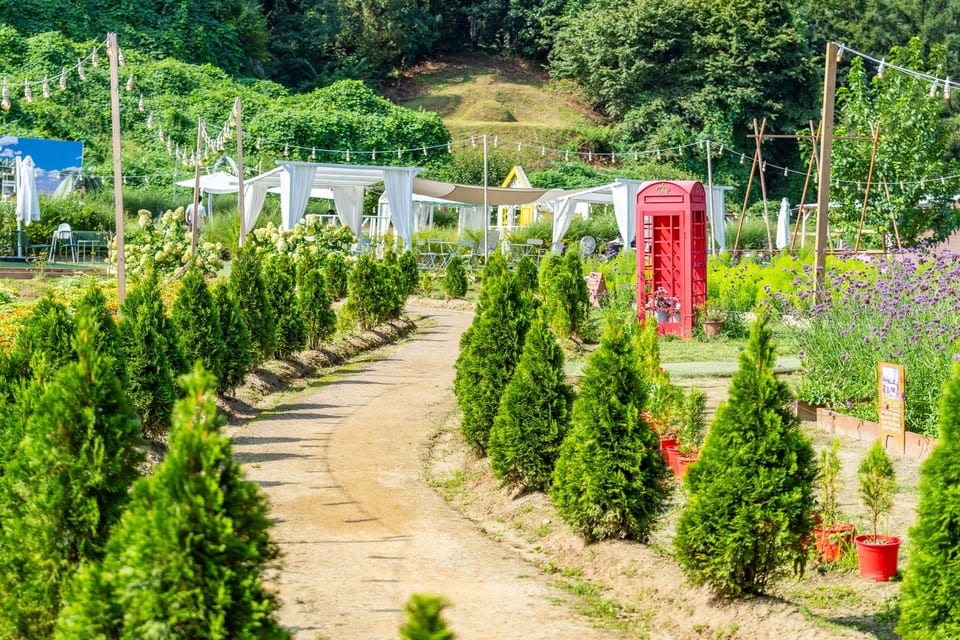Wonju, Gangwon, KOREA 사진 10