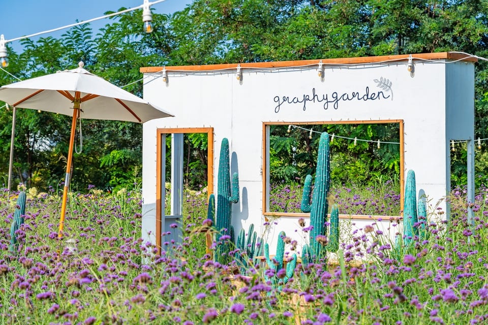 Wonju, Gangwon, KOREA 사진 12
