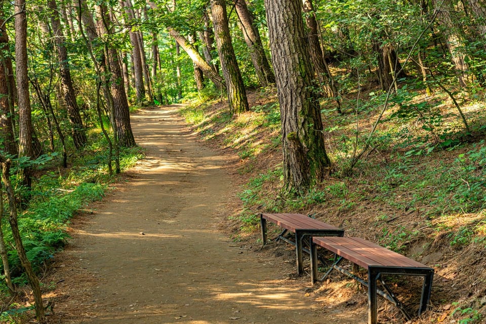 Wonju, Gangwon, KOREA 사진 17