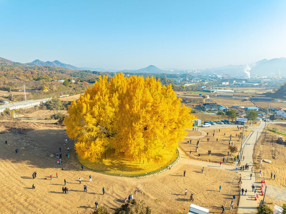 Wonju, Gangwon, KOREA 사진 25