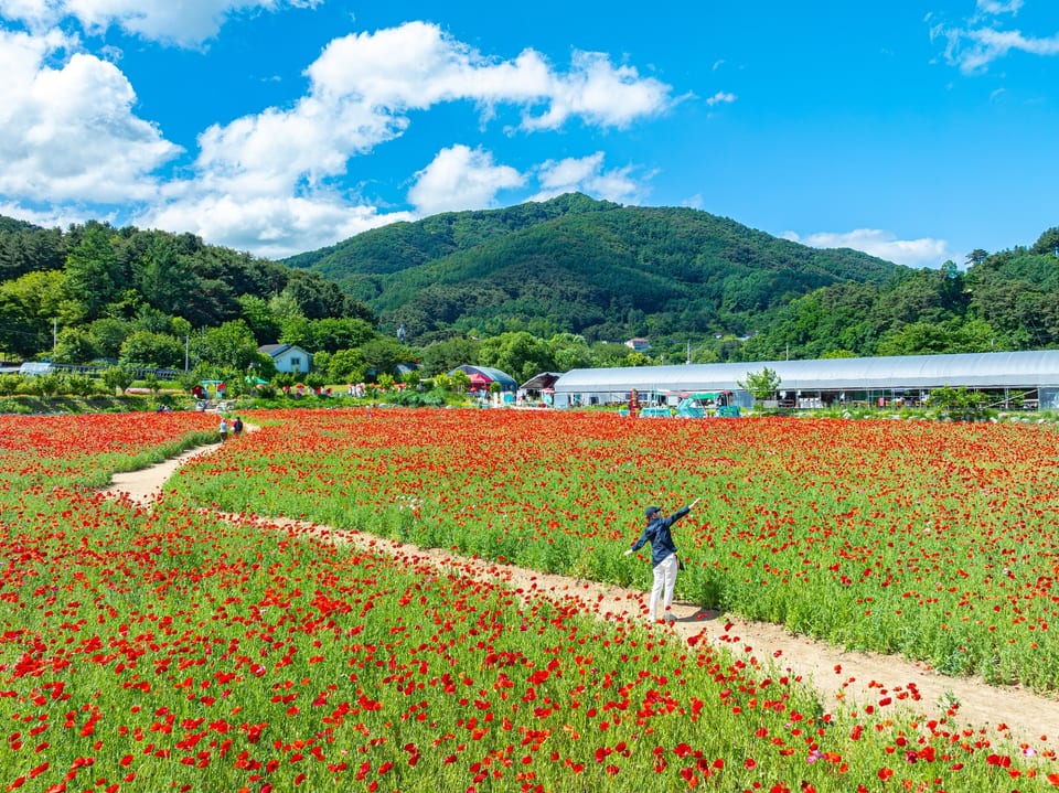 Wonju, Gangwon, KOREA 사진 34