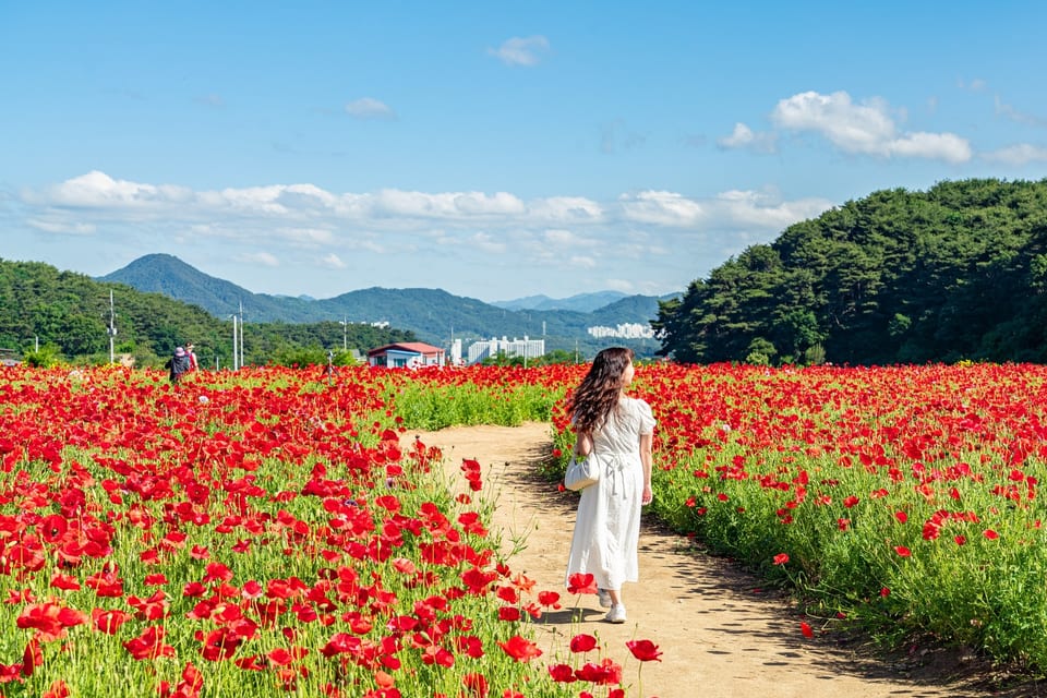 Wonju, Gangwon, KOREA 사진 36