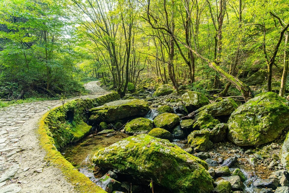 Wonju, Gangwon, KOREA 사진 39