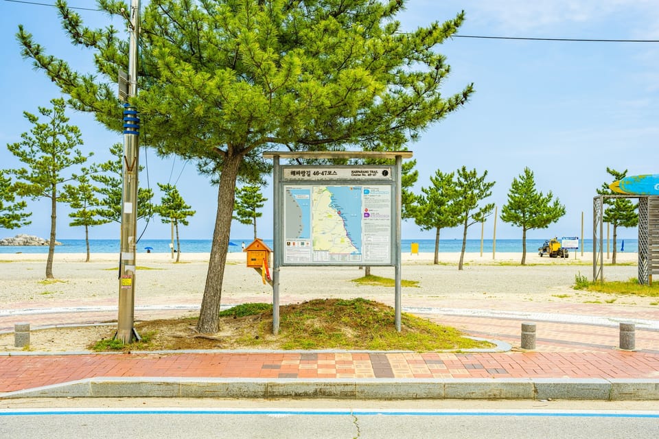 해파랑길 47코스 — 강원 고성 바닷길