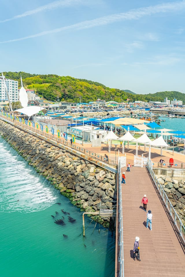 남파랑길 81코스 — 전남 강진 마량항